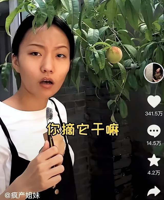 “分手”两年后复合捞金，“疯产姐妹”还想继续年入5000万？