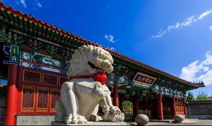 凭实力“免费”入读国际化学校！这些学校奖学金申请通道已开启……