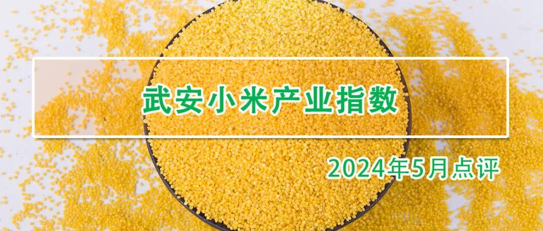 受市场淡季影响，小米价格走势略显低迷
