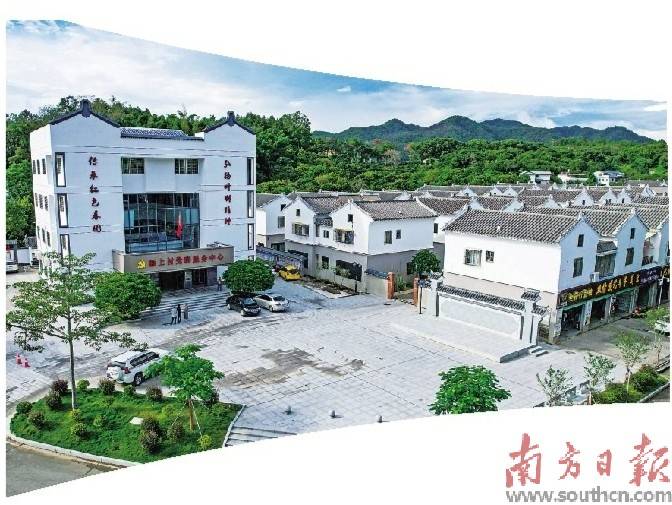 红土地上育出“金苗苗”