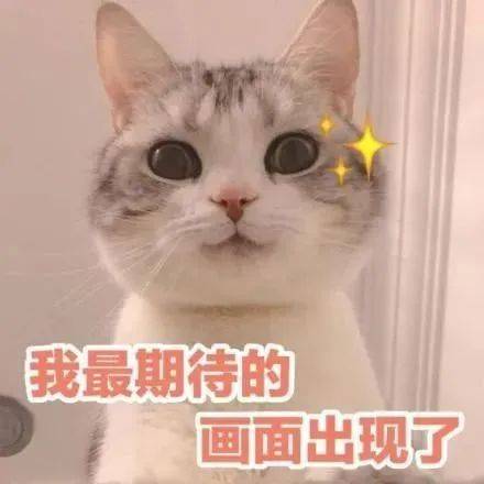 降了！降了！就在今天！