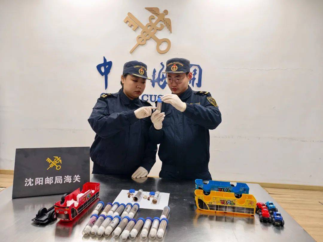 比普通蚂蚁大10倍！沈阳截获40只外来"巨人恐蚁"，藏匿方式相当精致